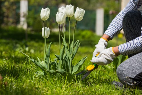 Gardening services in Wandsworth with lawn and hedge care