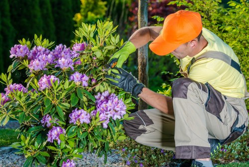 Gardener demonstrating accessible tools during a site visit