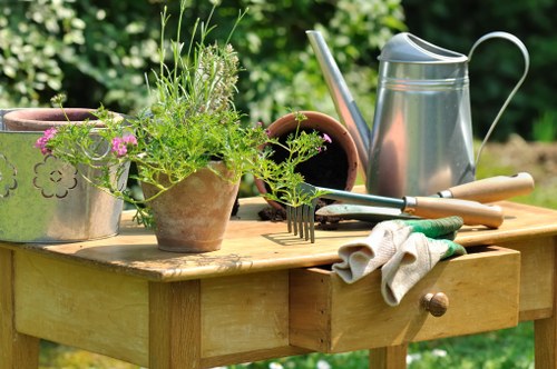Tools and plant materials ready for garden maintenance in an urban London garden