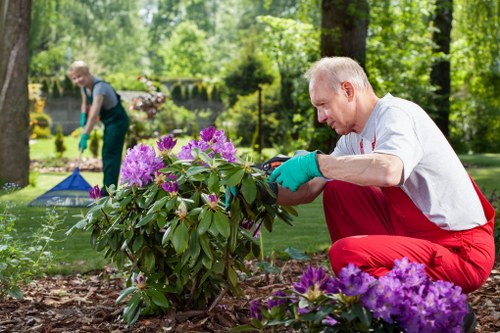 Hands holding a large-print garden maintenance sheet