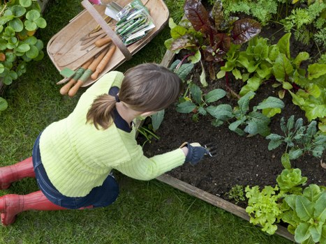 Insurance certificate and checklist for garden services