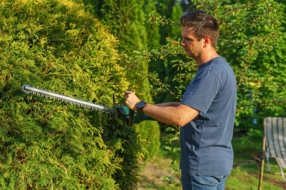 A person wearing a light grey T-shirt with the text 'CLIMATE EMERGENCY' and white gloves, is holding a small potted evergreen shrub with green, needle-like leaves. The individual has a visible tattoo 
