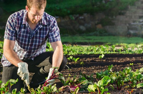 Beautifully maintained garden showcasing professional gardening services in Wandsworth